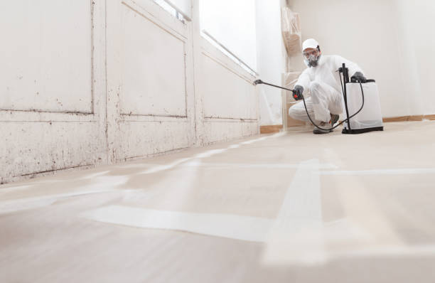 24/7 Emergency Mold Removal experts in Linden, NC